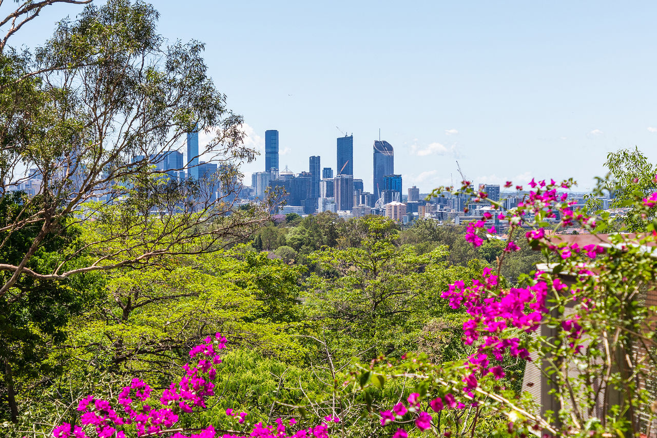 Botanic Gardens lookout at Mt Coot-tha with Brisbane City skyline