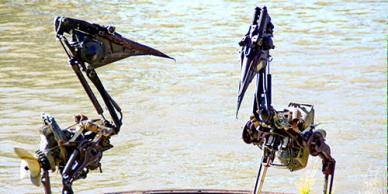 Pelicans