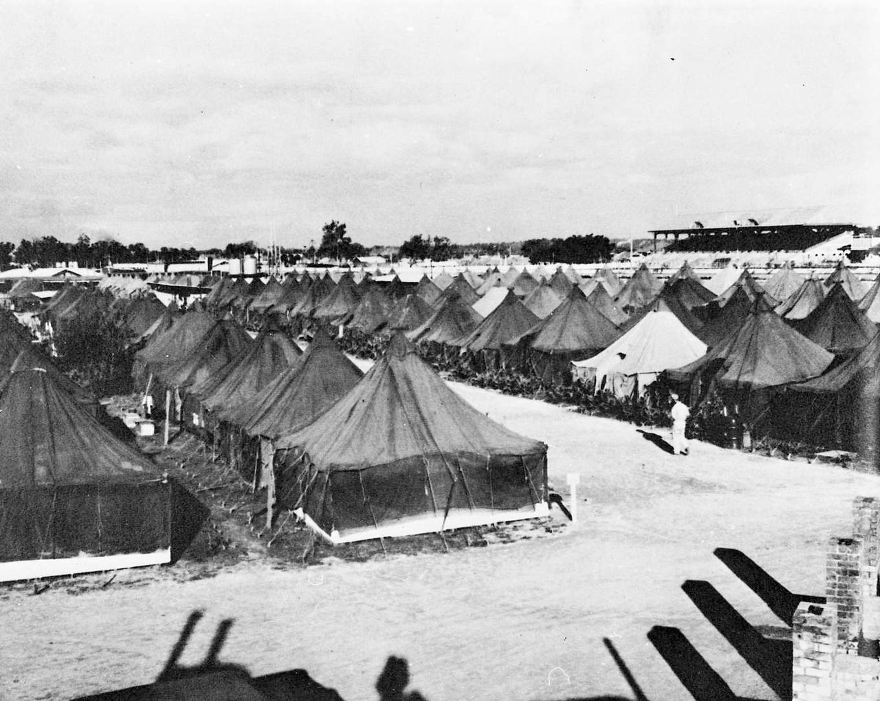 Camp Ascot