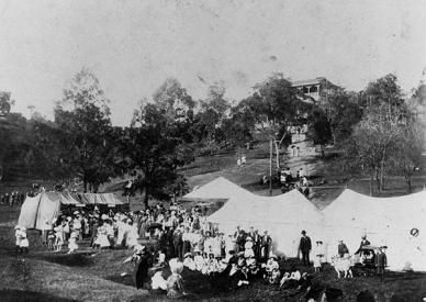 Dutton Park reserve