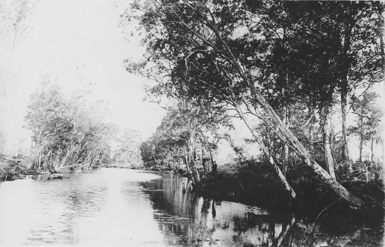 Aboriginal History