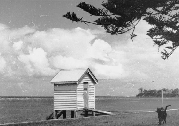 Bramble Bay Foreshores