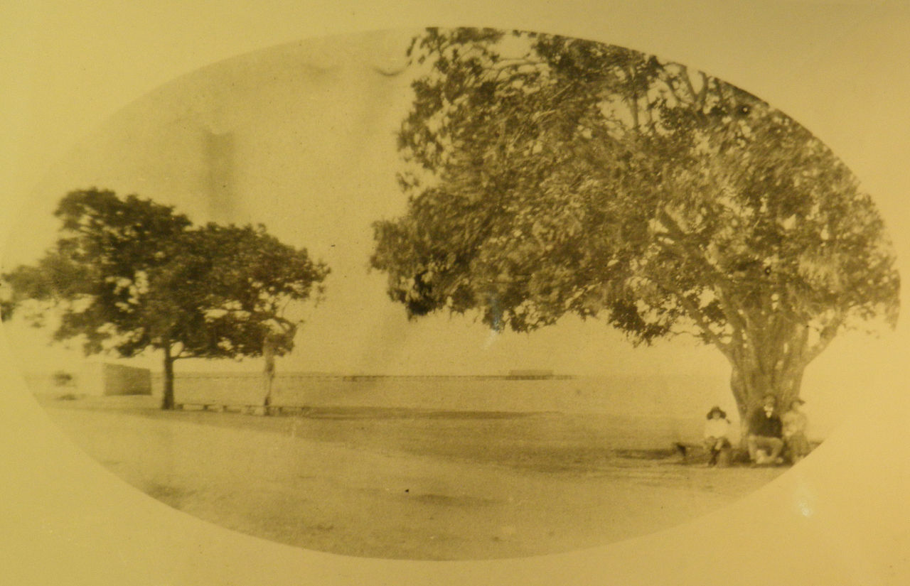 Jetty No. 1