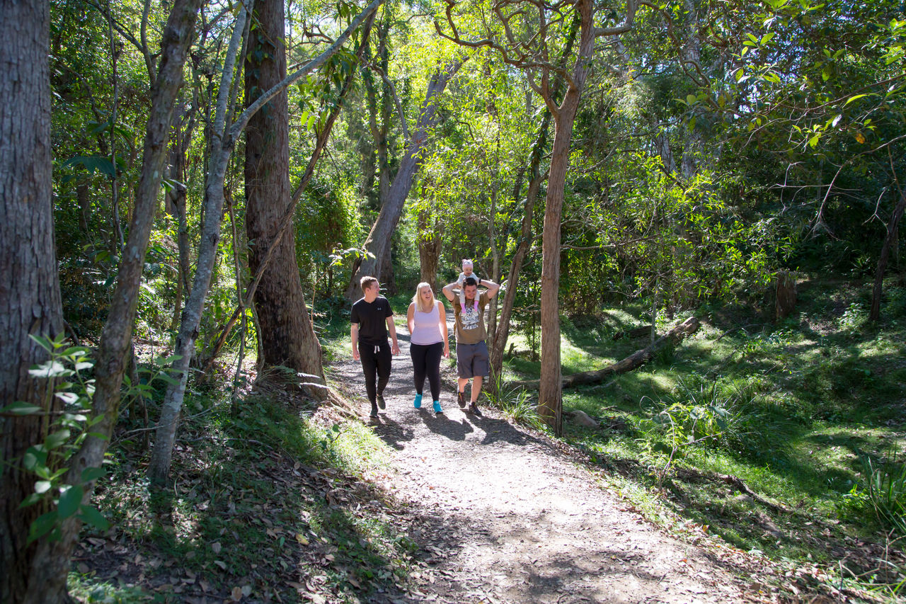 2 males, a female and a baby on one male's shoulders walking a bush track at Chermside Hills Reserve.