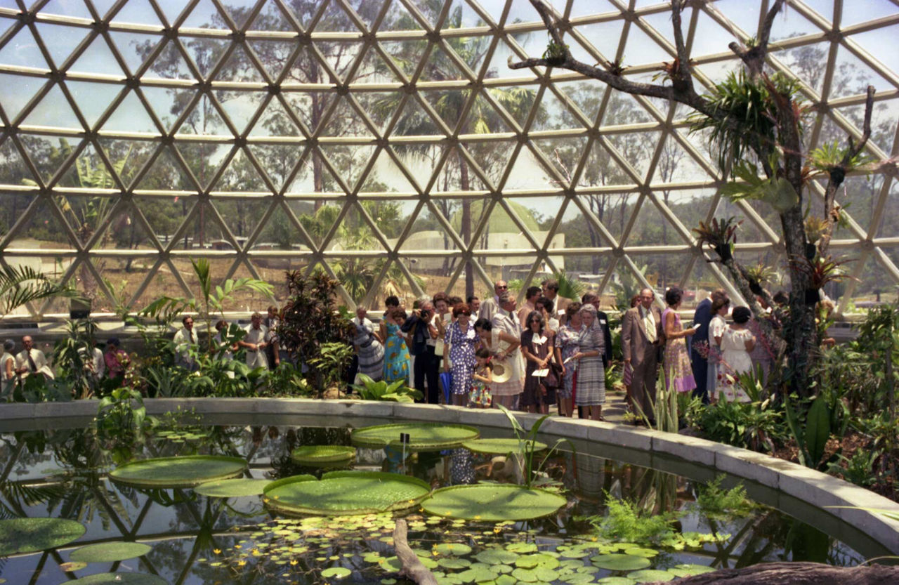 Crowds at the opening of the Tropical Dome at Brisbane Botanic Gardens Mt Coot-tha on 15 December 1977.